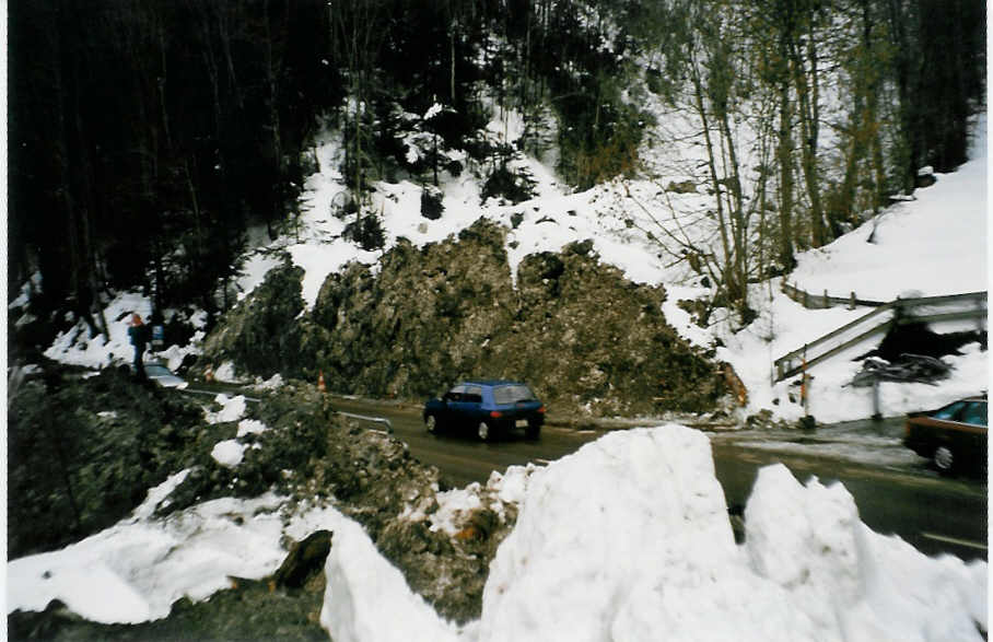 Die Rohrbachlawine am 28. Februar 1999 in Ried, Rohrbach