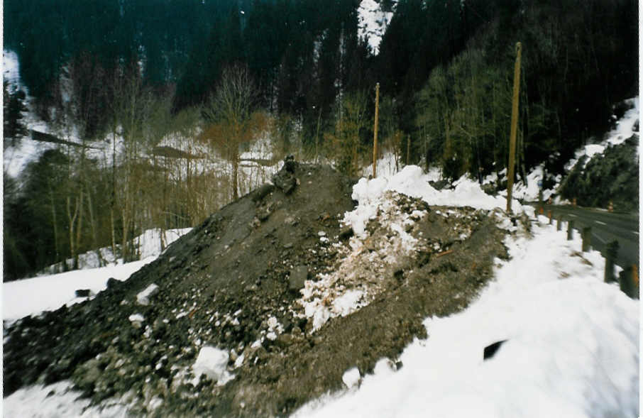 Die Rohrbachlawine am 28. Februar 1999 in Ried, Rohrbach