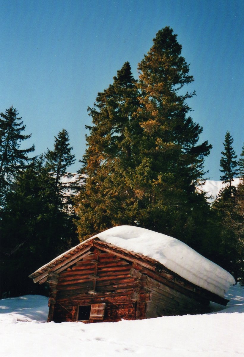 Finel am 27. Februar 2000 in Adelboden, Stiegelschwand