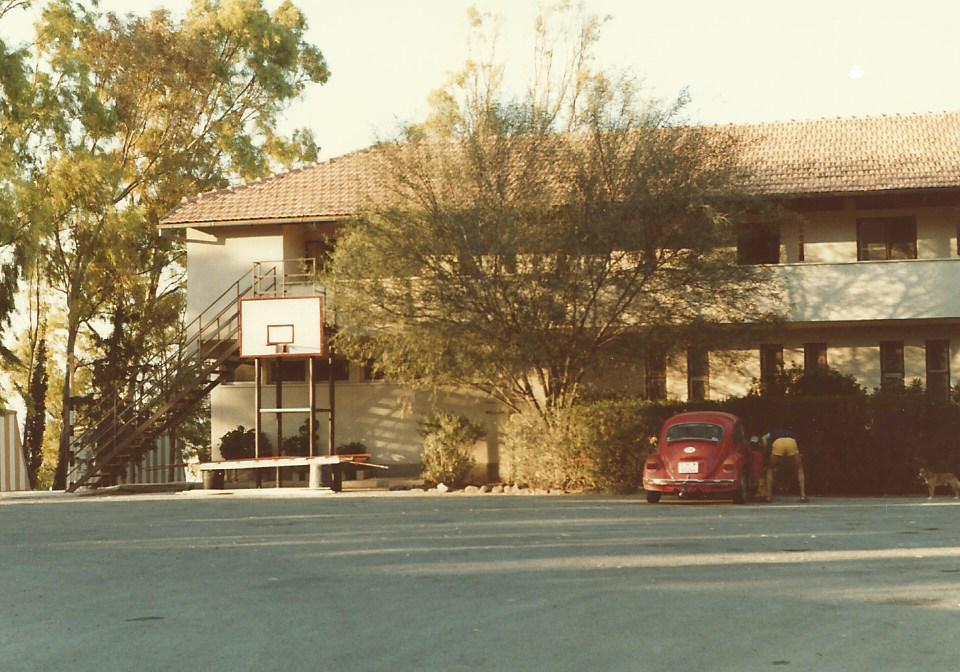 VW-Kfer bei der Jugendherberge von Poria am 29. Juni 1985 in Israel