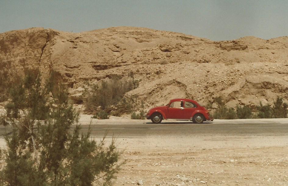 VW-Kfer in der Wste Negev am 19. Juni 1985 in Israel