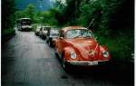 VW-Kfer am 3. Juni 1989 bei Bnigen