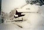 Schnee auf dem Zndli am 23. Februar 1999 in Frutigen