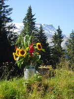 adelboden/535442/blumenstrauss-am-1-august-2011-auf Blumenstrauss am 1. August 2011 auf der Alp Laueli ob Adelboden